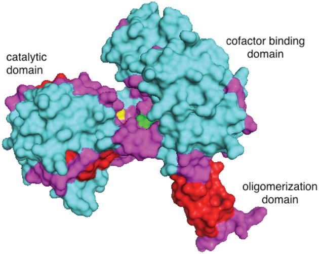 Fig. 4.