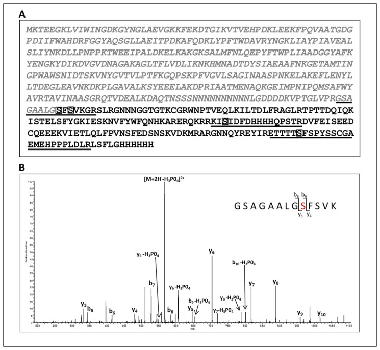 Fig 9