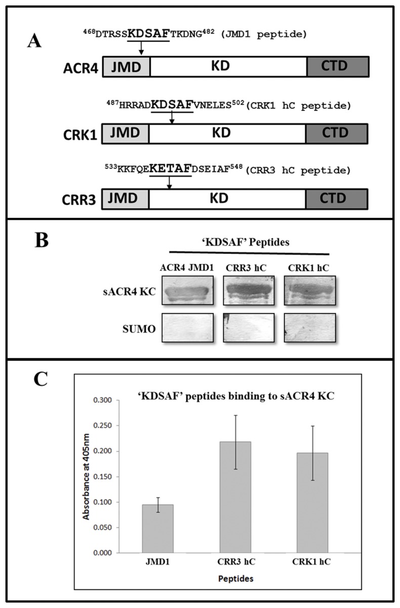 Fig 5