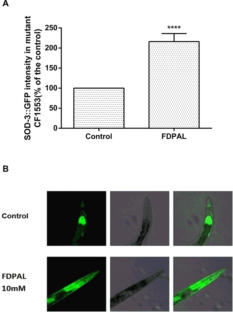 Fig 5