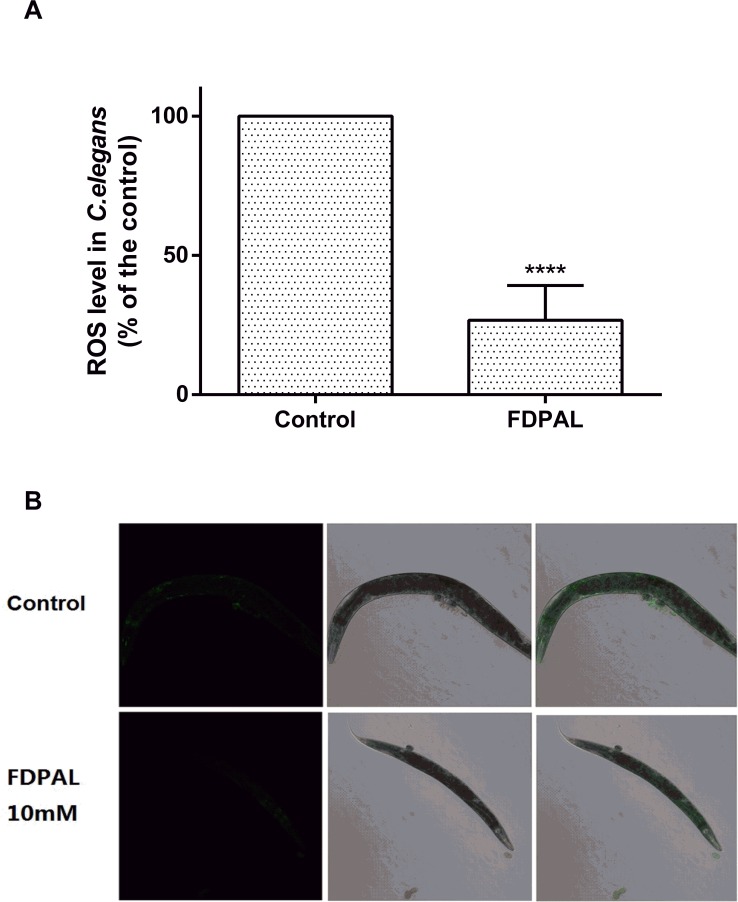 Fig 4