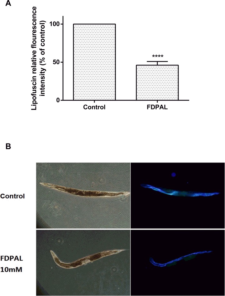 Fig 6