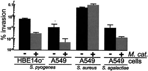 FIG. 5.