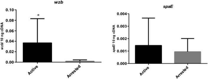 Fig. 4