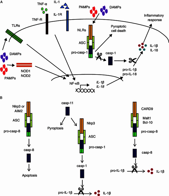 Figure 1