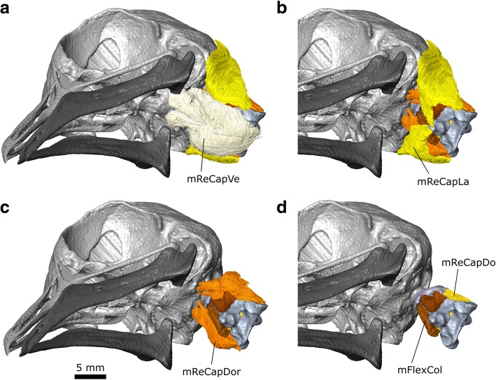 Fig. 18