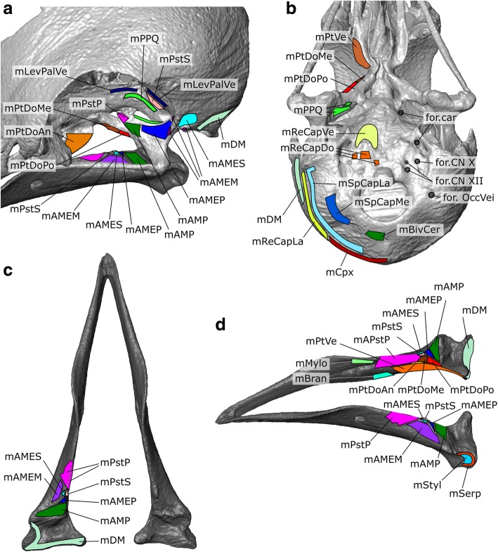 Fig. 8