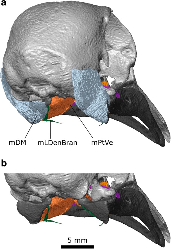 Fig. 11