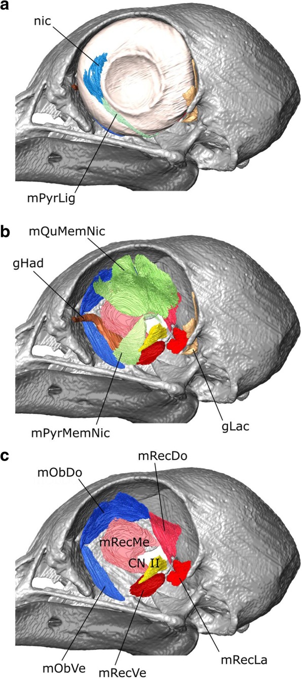 Fig. 15