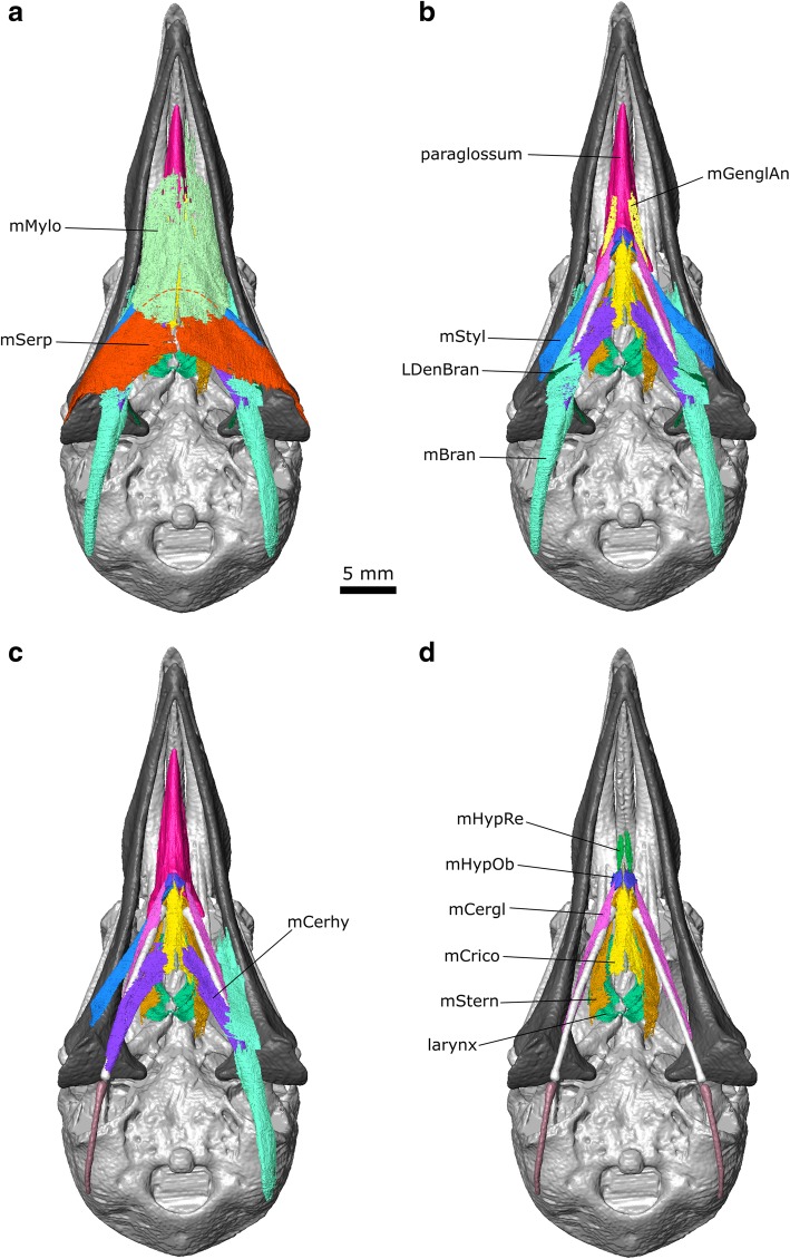 Fig. 12