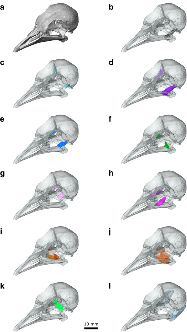 Fig. 9