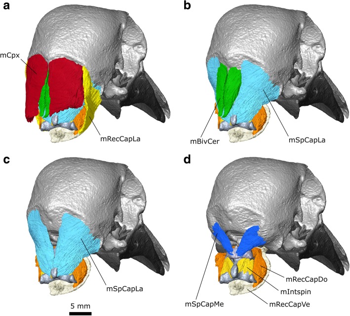 Fig. 17