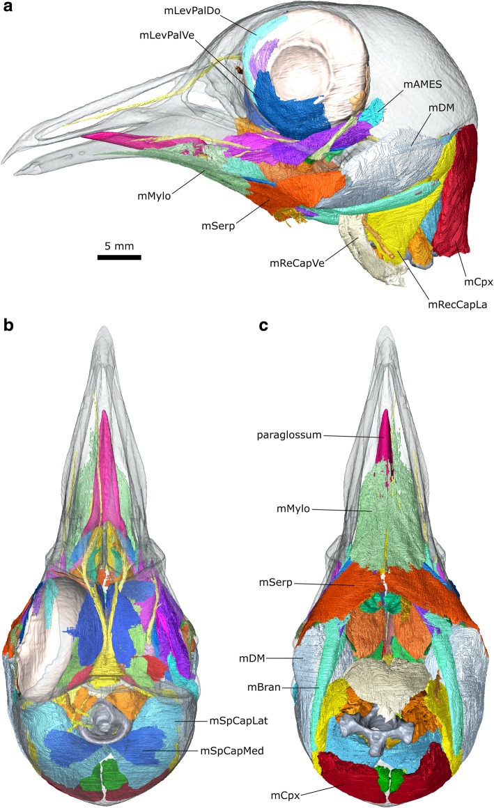 Fig. 2