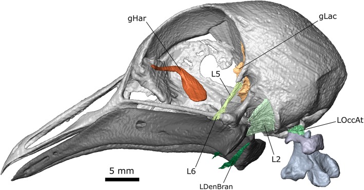 Fig. 5