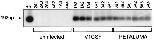 FIG. 6
