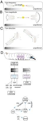 Fig. 9.