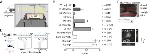 Fig. 6.