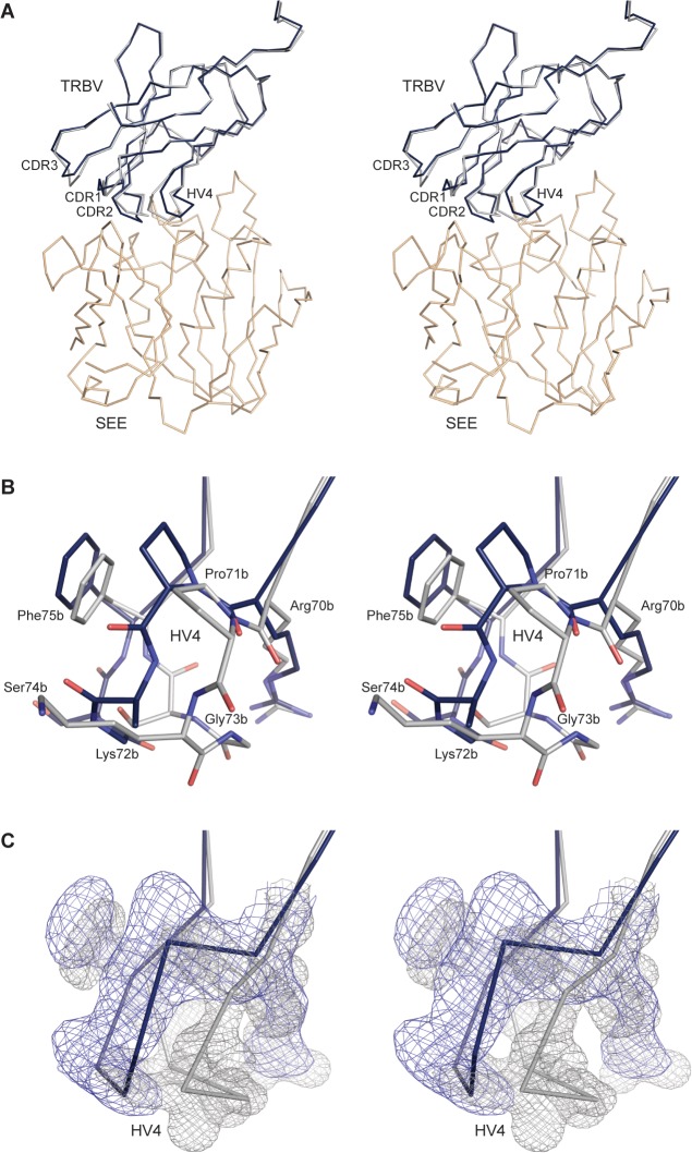 Fig 4