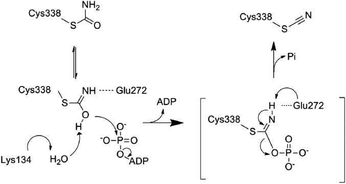 Fig. 5.