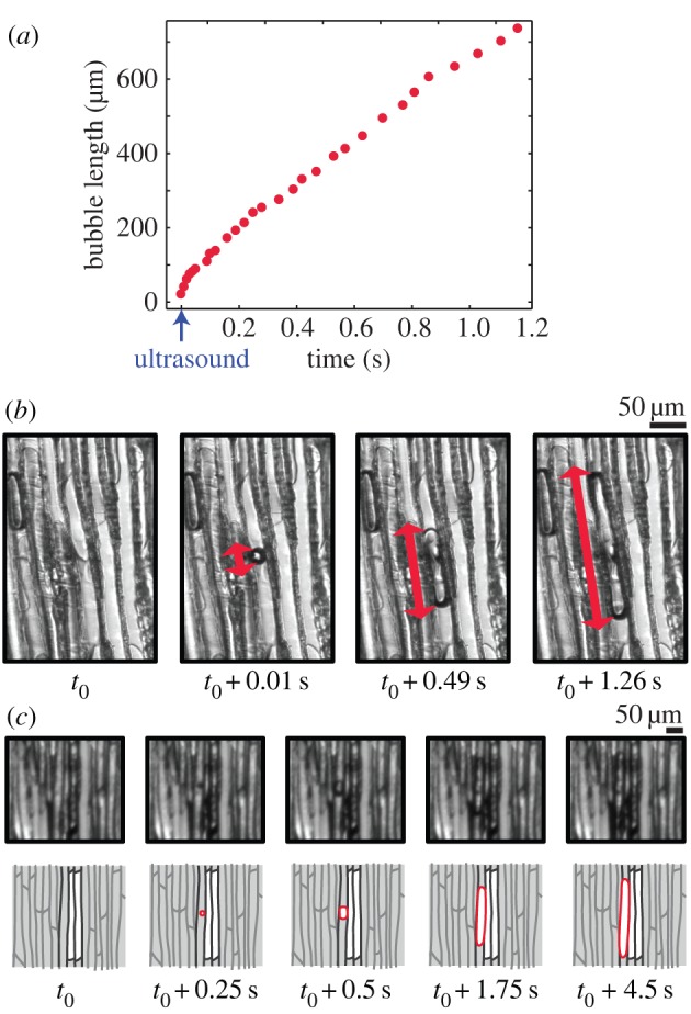 Figure 3.