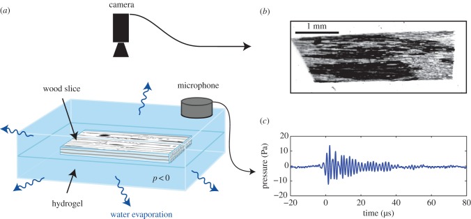 Figure 2.