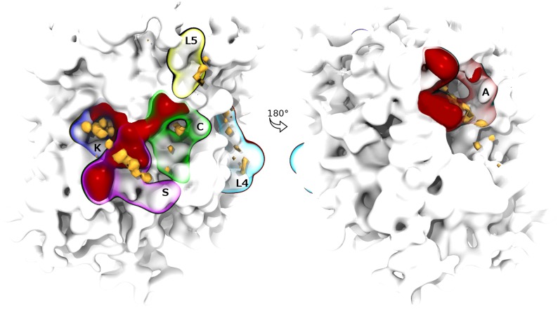 Fig 3