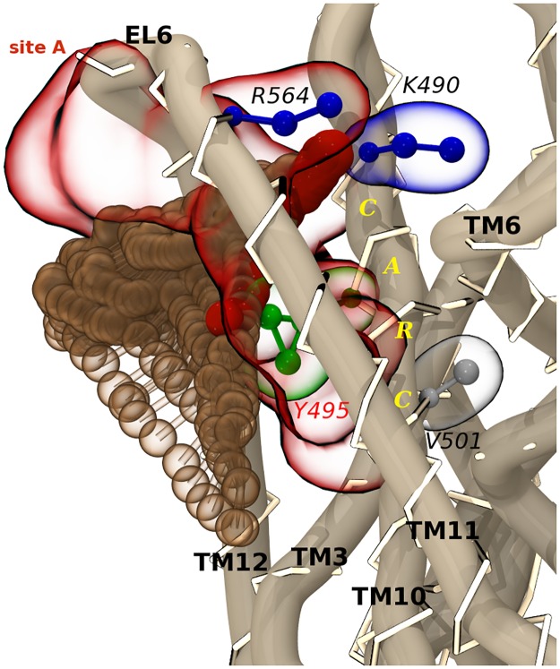 Fig 7