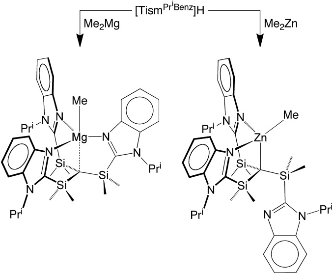 Scheme 2