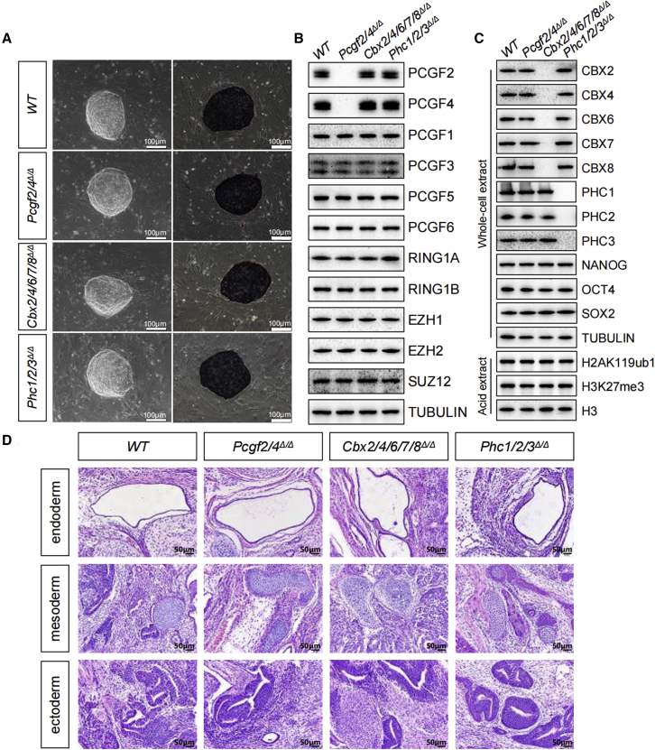 Figure 4