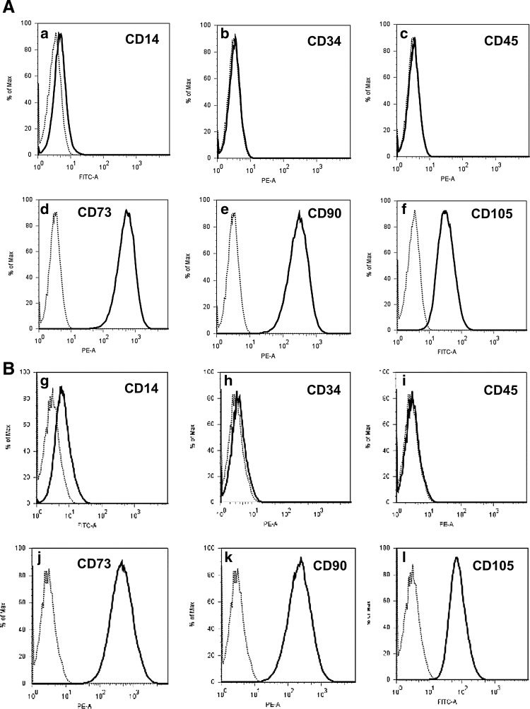 FIG. 1.