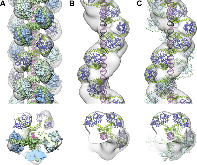 Figure 3.