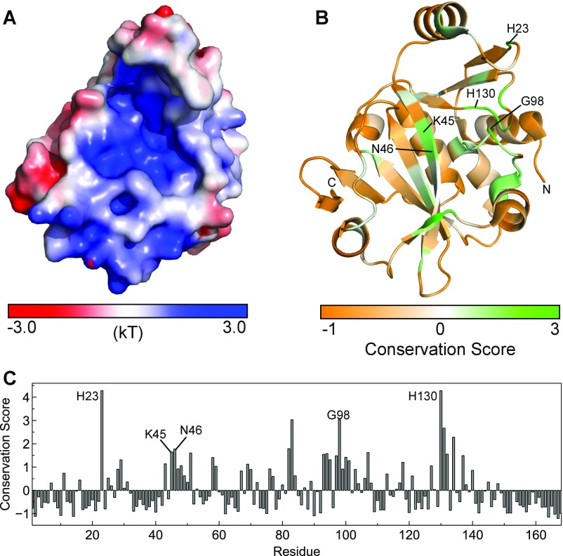 Fig. S4.