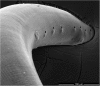 Figure 6.