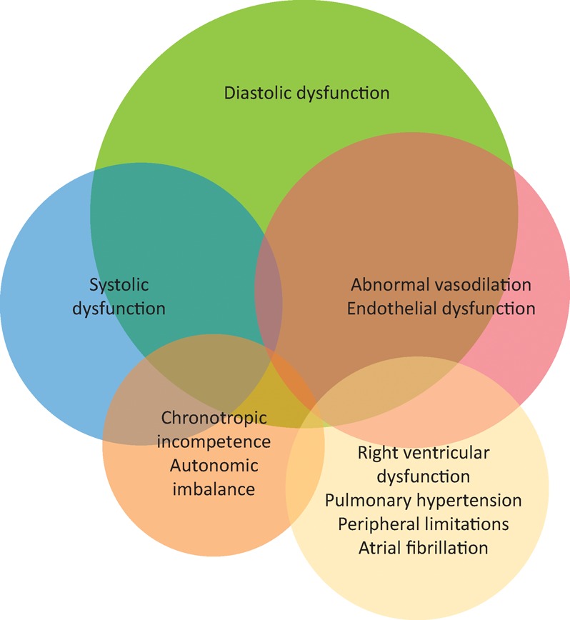 Fig 1.