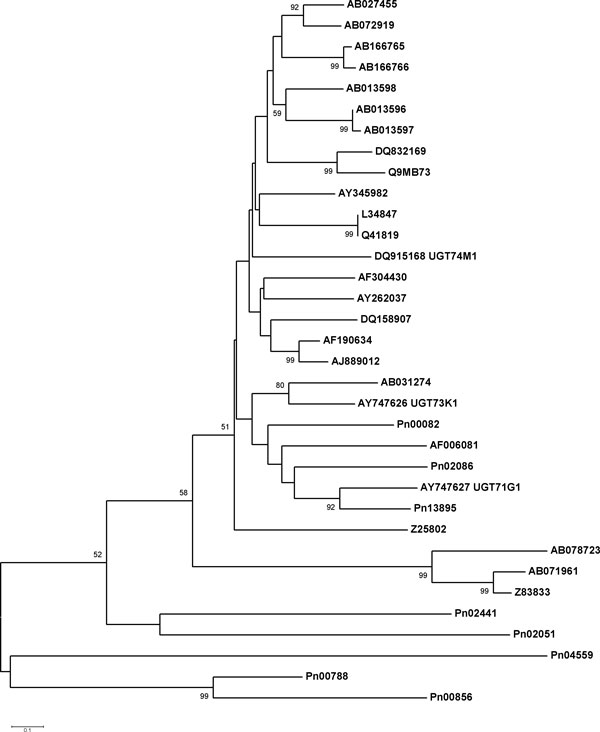 Figure 6