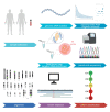 Graphical Abstract