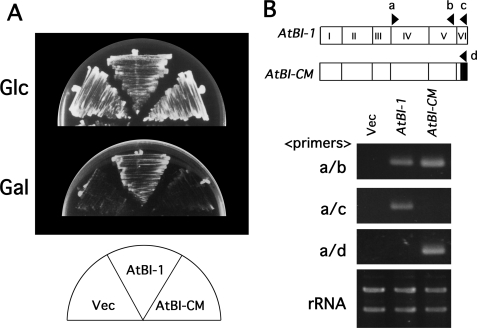 FIGURE 2.