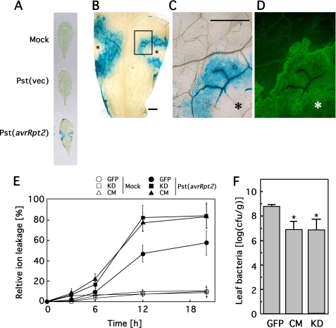 FIGURE 6.