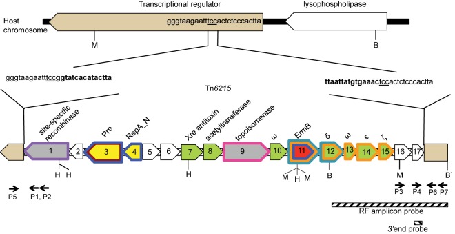 FIG 1 