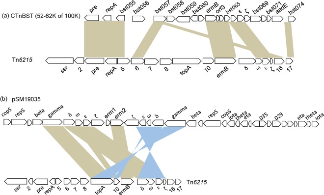 FIG 3 