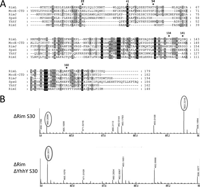 FIG 6