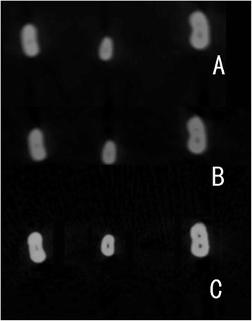Fig. 5
