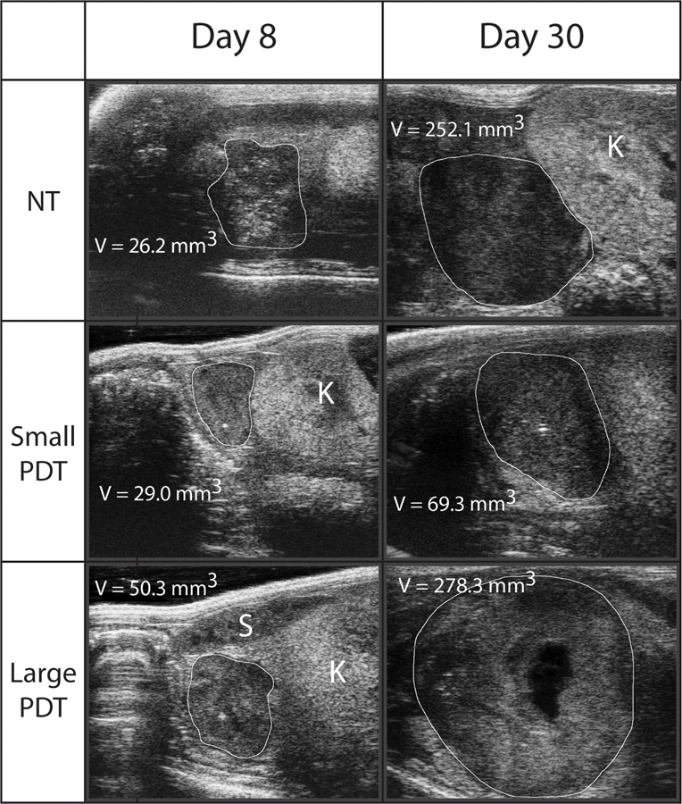 Figure 4.