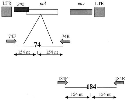 FIG. 1.