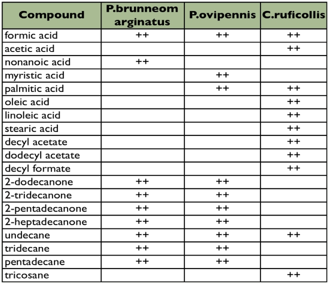 graphic file with name t03_01.jpg
