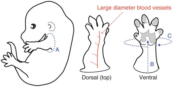 Fig. 1