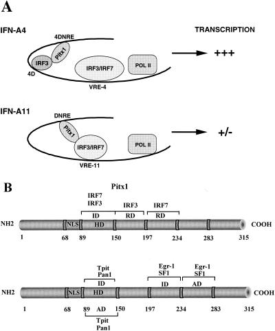 FIG. 9.