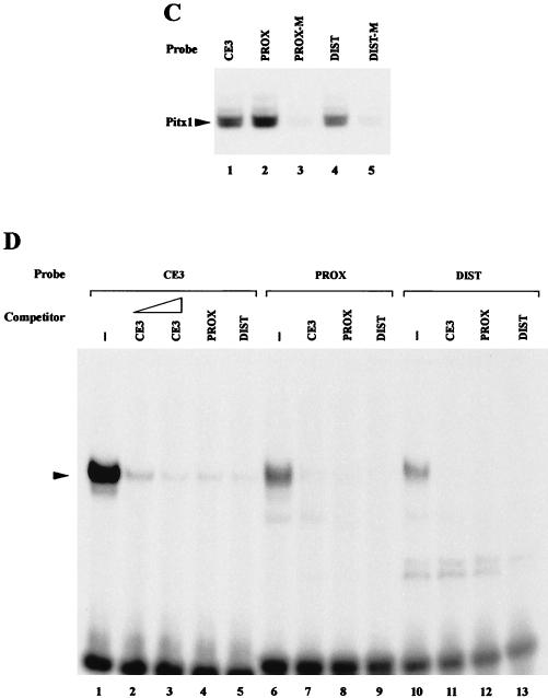 FIG. 2.