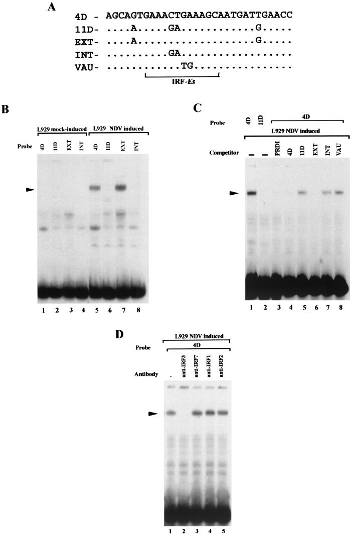 FIG. 8.