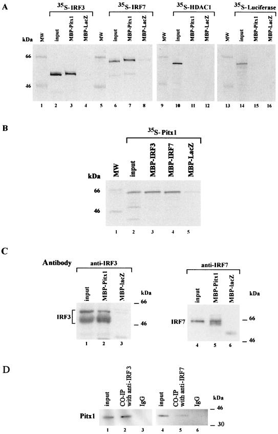 FIG. 3.